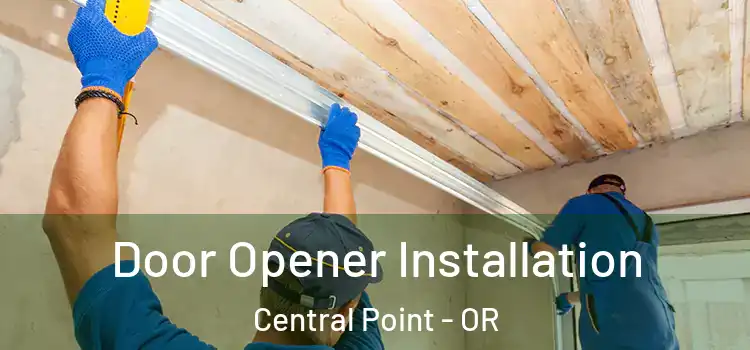  Door Opener Installation Central Point - OR
