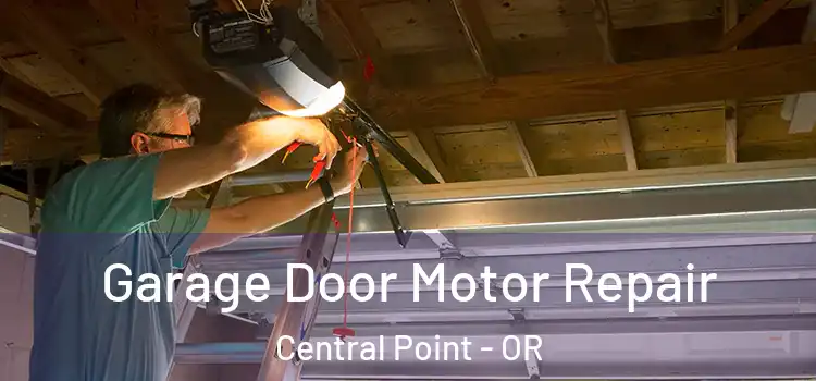  Garage Door Motor Repair Central Point - OR