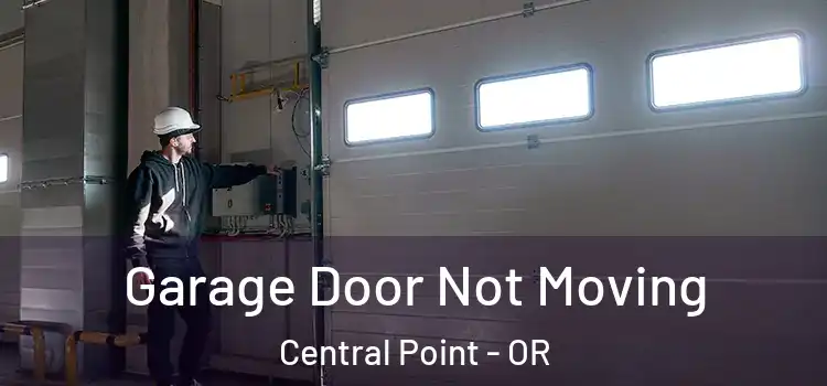  Garage Door Not Moving Central Point - OR