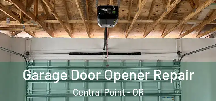  Garage Door Opener Repair Central Point - OR