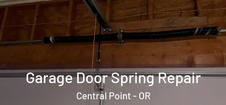  Garage Door Spring Repair Central Point - OR