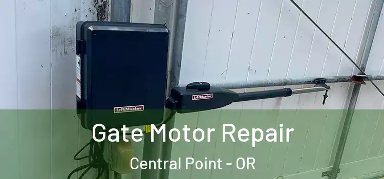  Gate Motor Repair Central Point - OR